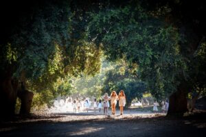 A canopy of trees with two girls walking alongside each other in front of a bigger group of kids.