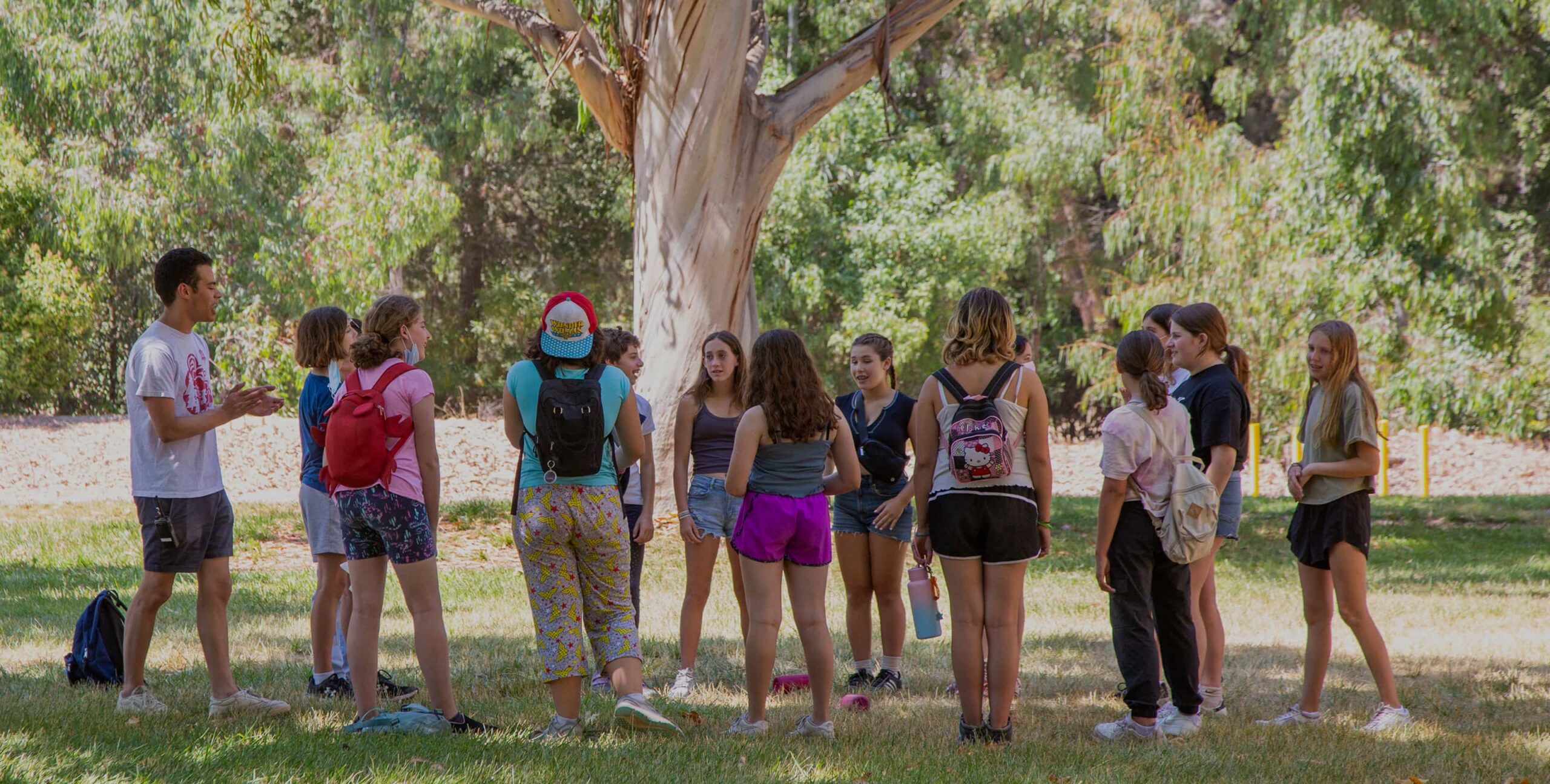 Header Alonim About
