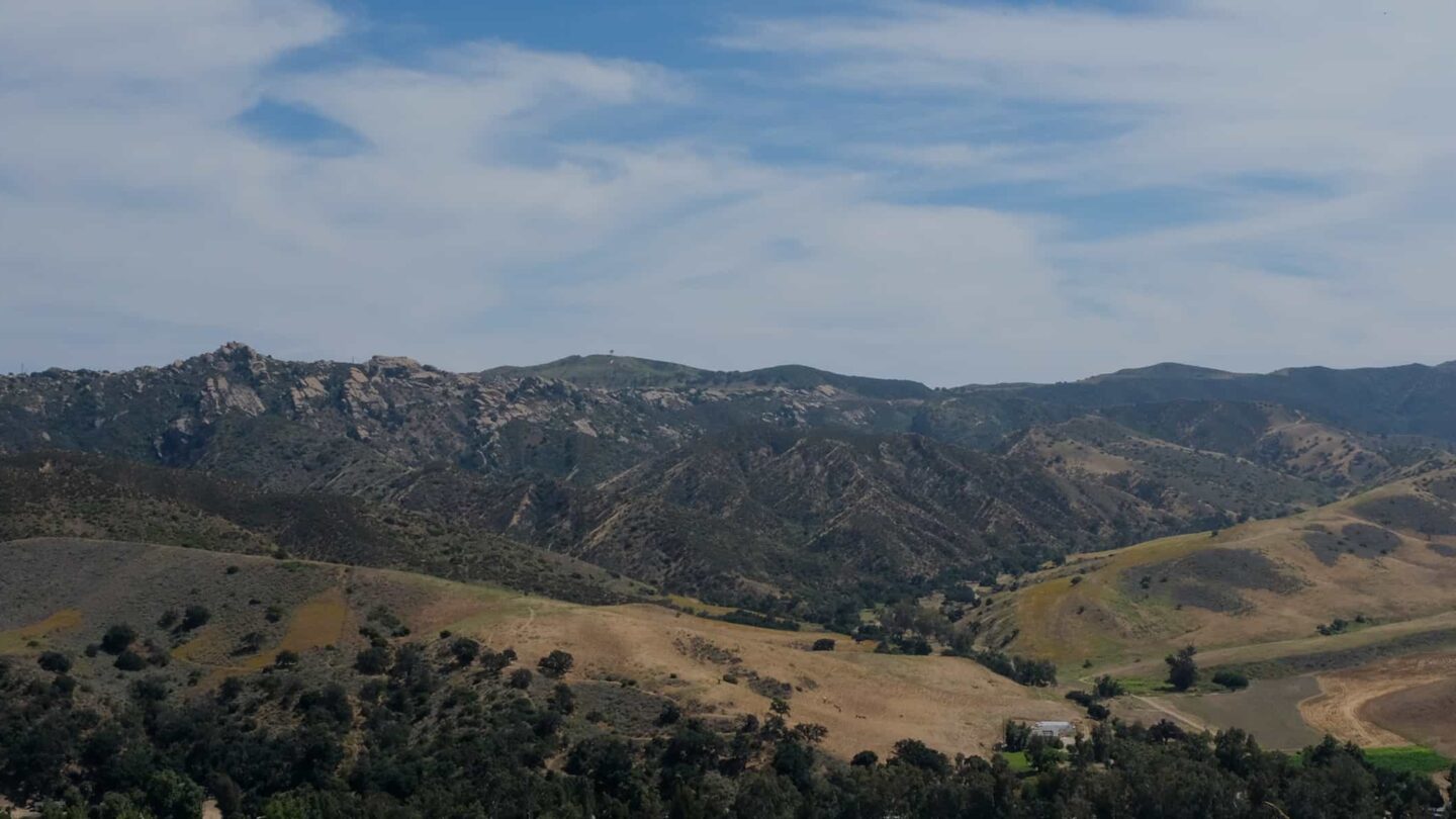 Header 2051