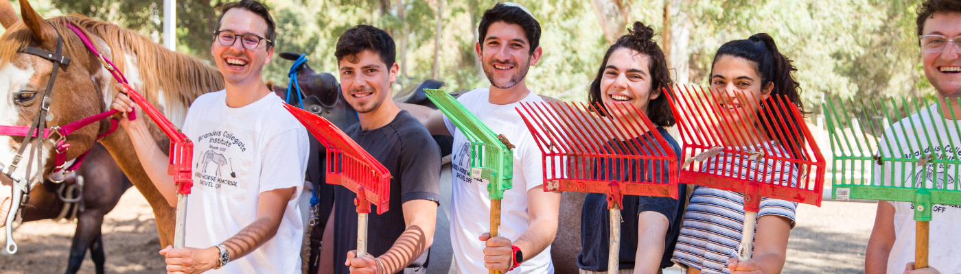 Photo of BCIers with rakes