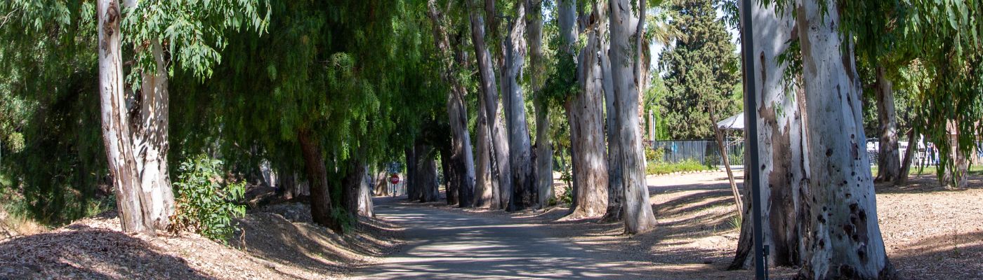 Photo of Peppertree Lane